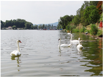 AlteDonau-Teubner-tiefste_Stelle-deepest_site