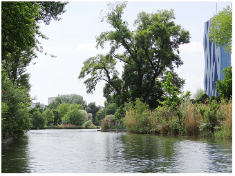 AlteDonau-Teubner-Kaiserwasser-Old_Danube