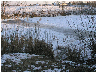 BiotopAuersthal-Teubner