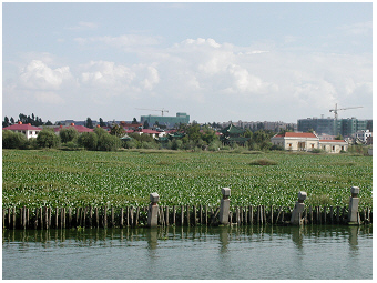 Dianchi-Teubner