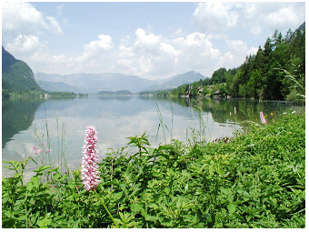 HallstaetterSee-Teubner