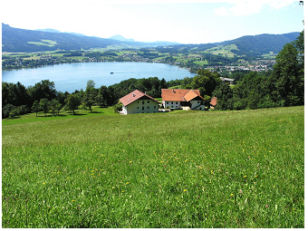 Mondsee-Teubner