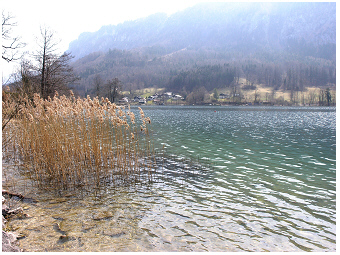 Mondsee-Teubner