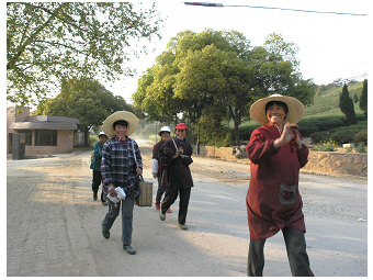 Tee-Taihu-Teubner